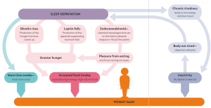 چرخه‌های محرومیت از خواب خوب و چاقی