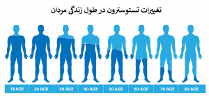 سطح تستوسترون در مردان با افزایش سن کاهش می‌یابد